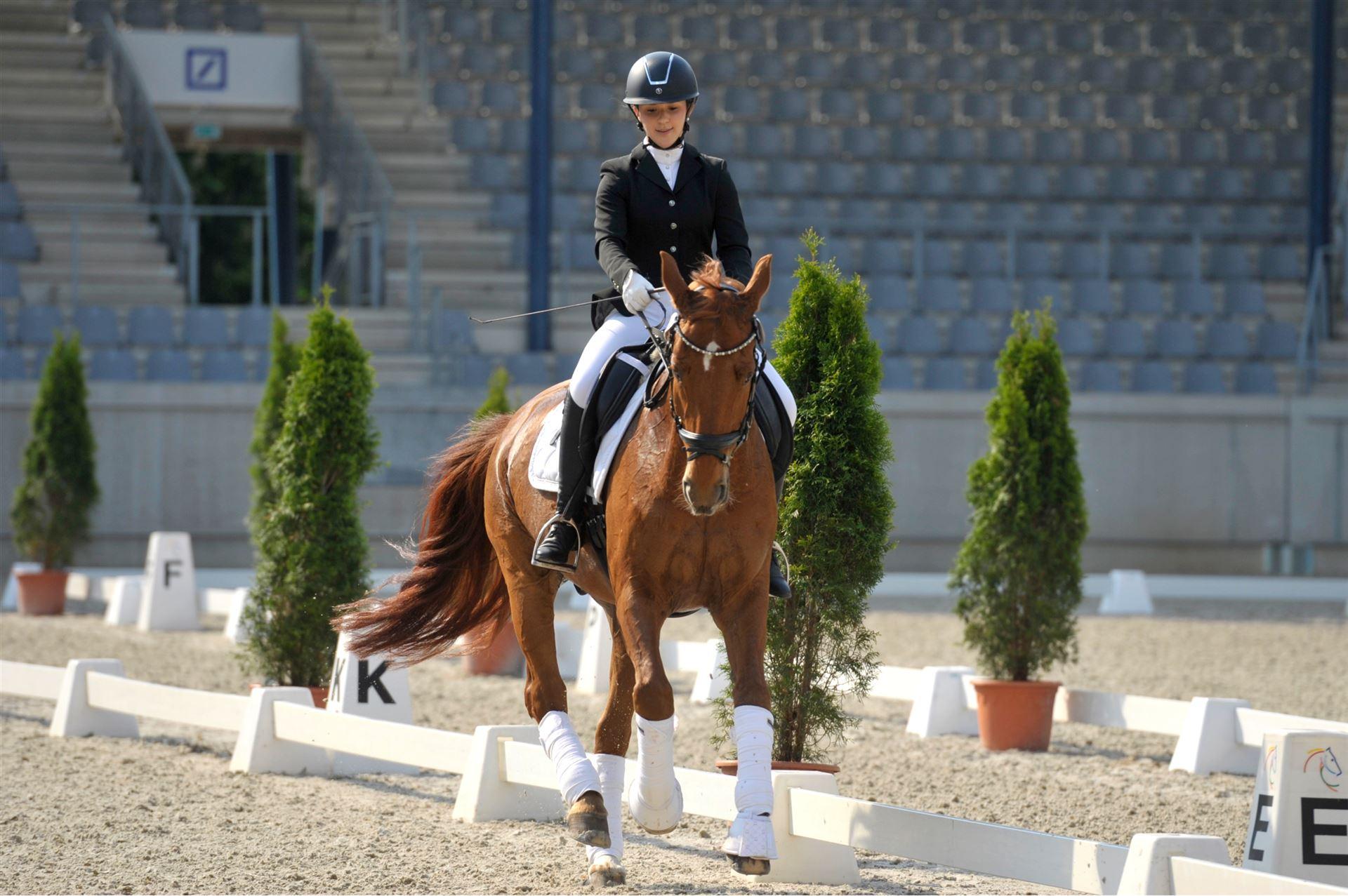 Amateur- und Breitensport