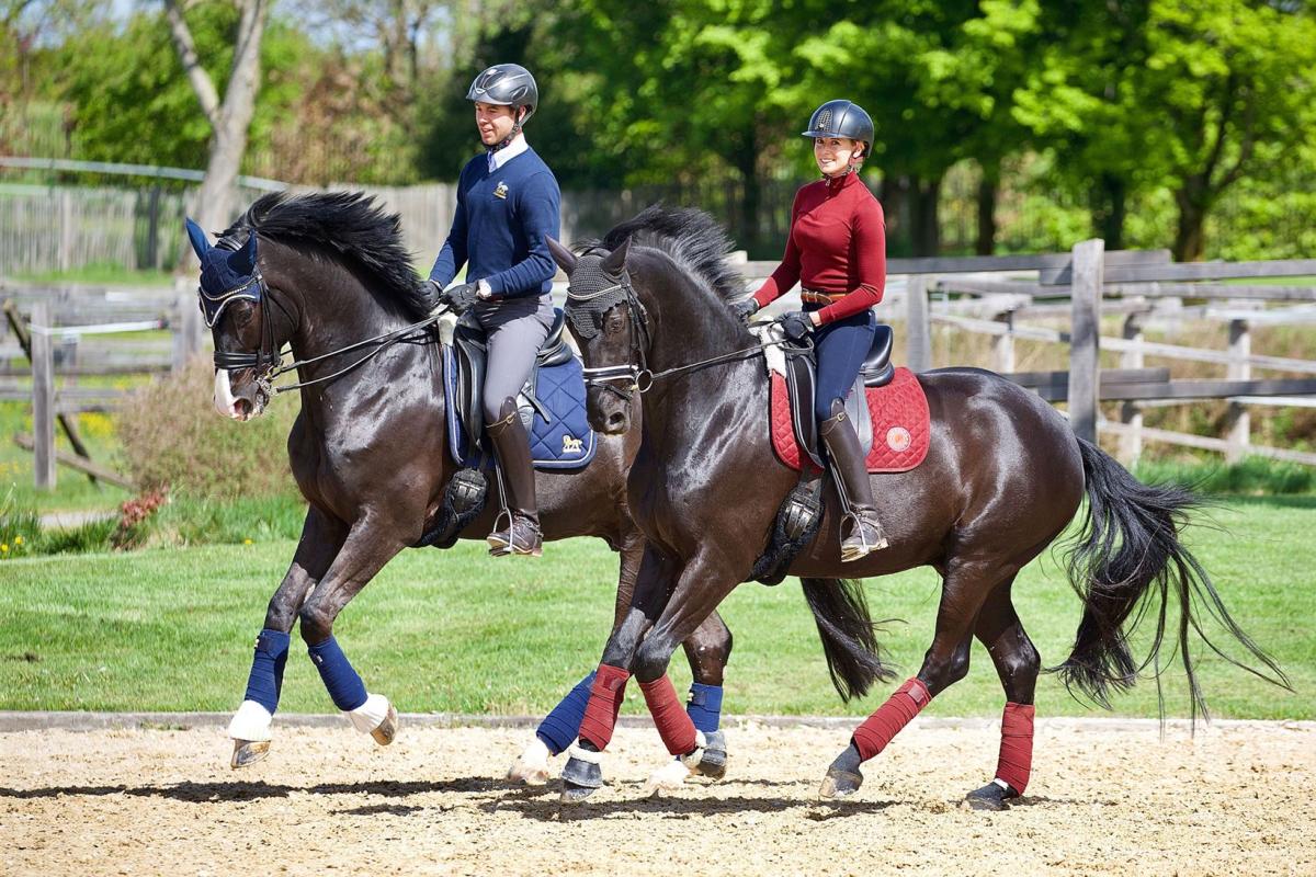 Ein Mann, Benjamin Werndl, und eine Frau, Jessica von Bredow-Werndl, reiten auf zwei Pferden auf einem Sandplatz vor grünen Bäumen.