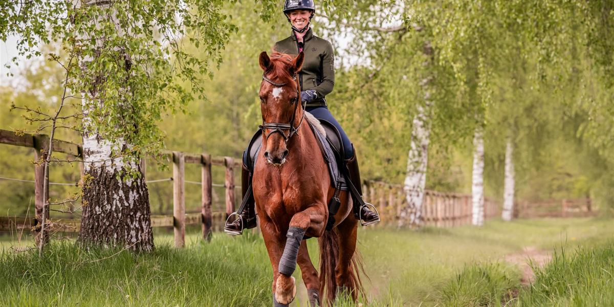Das richtige Equipment für dein Pferd - Allianz Servicezeit 